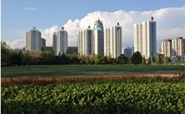 集團(tuán)管控